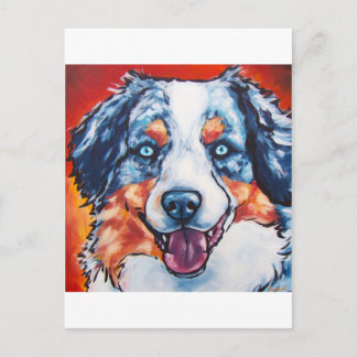 Carte Postale Merle Aussie