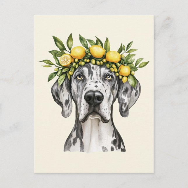 Carte Postale Merle Great Dane Chien Lemon Crown (Devant)