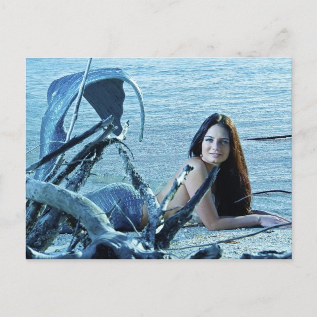 Carte postale Mermaid (Devant)