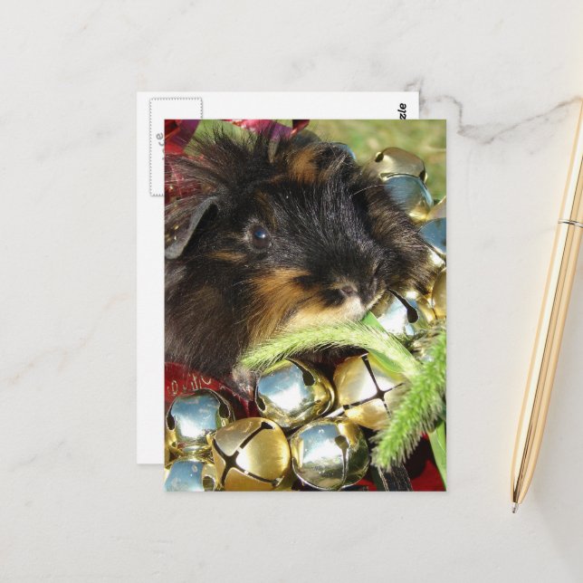 Carte Postale Merry Christmas Guinea Pig (Devant/Arrière en situation)