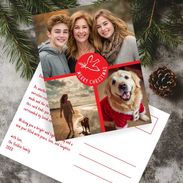 Carte Postale MERRY NOËL Simple Dove CUSTOM 3 PHOTO Holiday (MERRY CHRISTMAS Simple Dove CUSTOM 3 PHOTO red Holiday Postcard
)