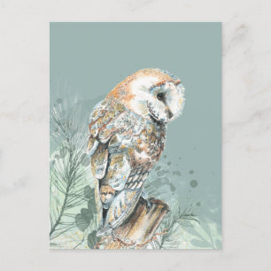 Carte Postale  Merveilleuse Barne Owl Bird Wildlife Art 