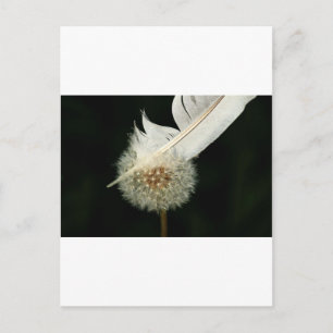 Carte Postale Merveilleux Dandelion