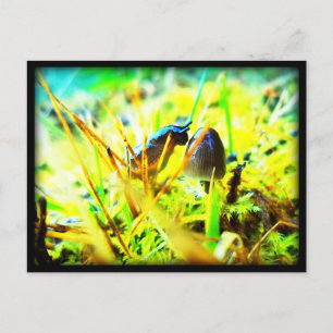 Carte Postale Merveilleux de vous rencontrer Slug and Mushroom P