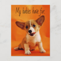 Mes bébés ont du poil chien, chiots mignons, chiot