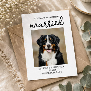 Carte Postale Mes humains se marient Chien Save the Date