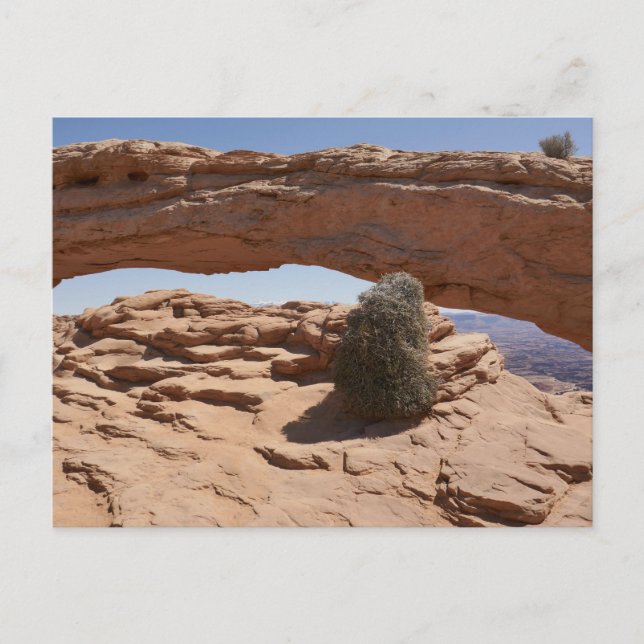 Carte Postale Mesa Arch et Tumbleweed aux Canyonlands (Devant)