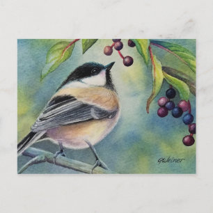 Carte Postale Mésange à tête noire Baies Art à l'aquarelle