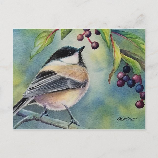 Carte Postale Mésange à tête noire Baies Art à l'aquarelle (Devant)