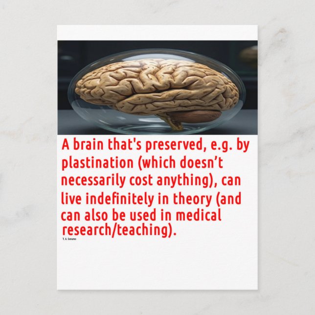 Carte Postale Message de préservation du cerveau (sphéroïde) (Devant)