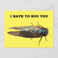 Message personnalisé de la photo d'insectes de boe