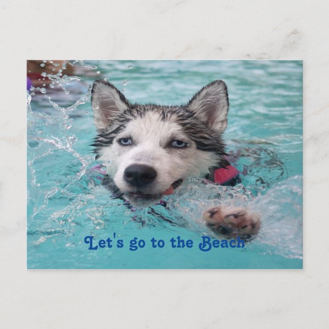 Carte Postale Mete Beach Dog salutations (Devant)
