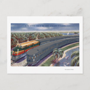 Carte Postale Méteaux d'argent "Seaboard" en Floride Highlands