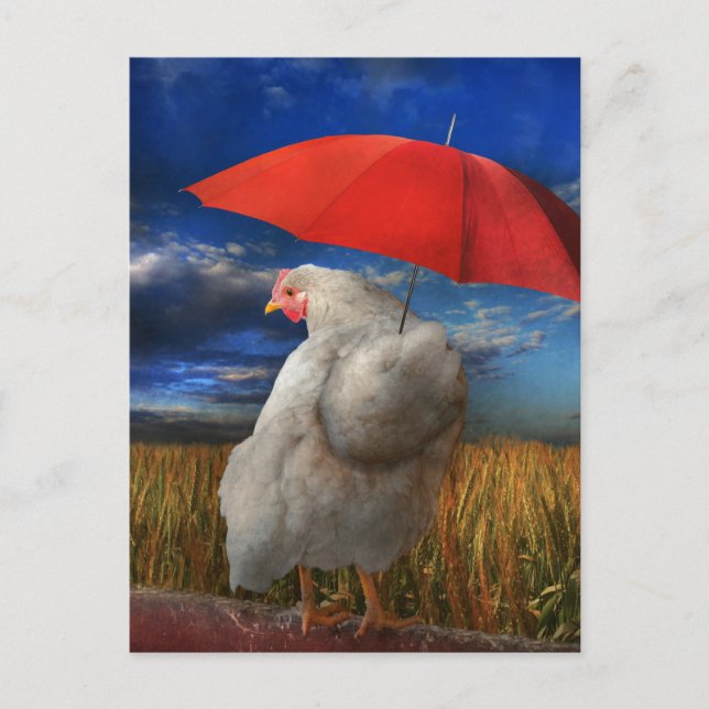 Carte Postale Météo à la baisse - Prédire la pluie (Devant)