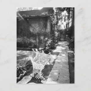 Carte Postale MEXICO, D.F., Mexico City, COYOACAN : Banc à