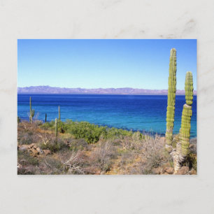 Carte Postale Mexique, Basse Californie Sur, Mulege, Bahia 2