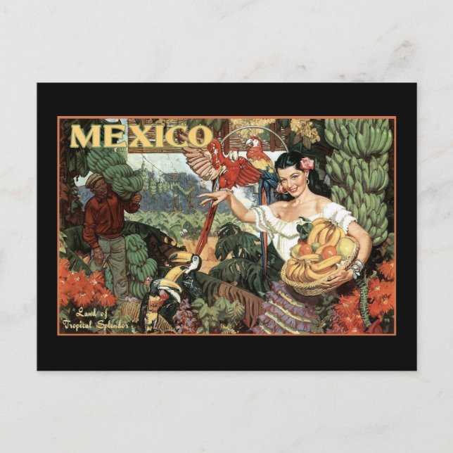 Carte Postale mexique pays de la splendeur tropicale (Devant)