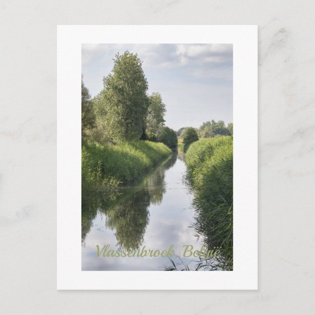 Carte Postale Mi-été à Vlassenbroek, Belgique (Devant)