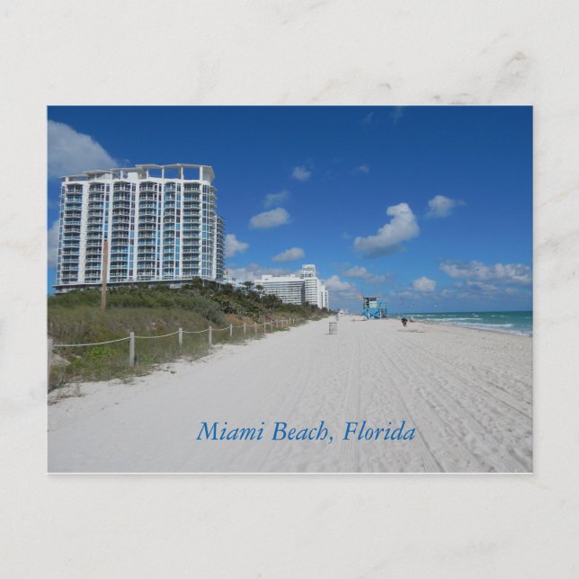 Carte postale Miami Beach Florida (Devant)