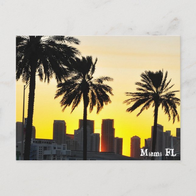 Carte Postale Miami FL (Devant)