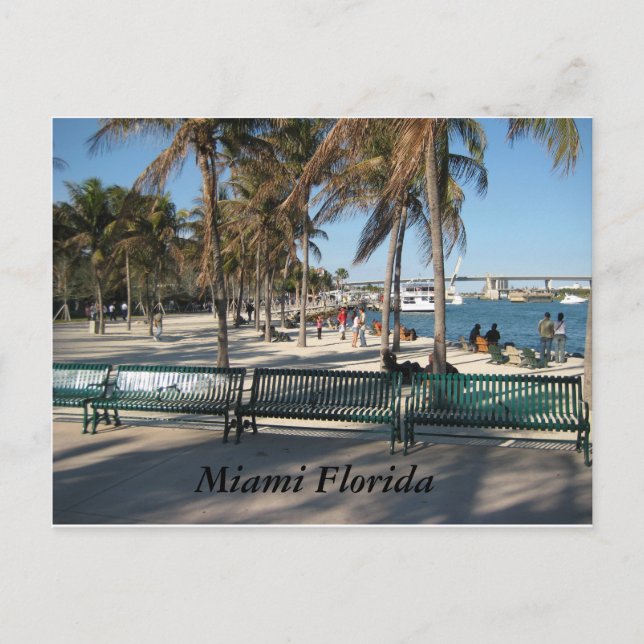 Carte Postale Miami Floride (Devant)
