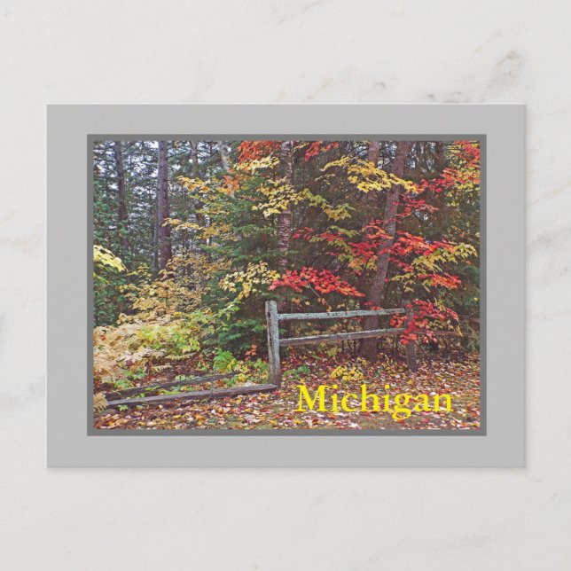 CARTE POSTALE "MICHIGAN"/COULEURS D'AUTOMNE ET DE LA CLÔTURE DU  (Devant)