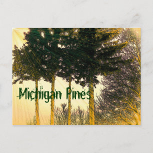Carte postale Michigan Pines