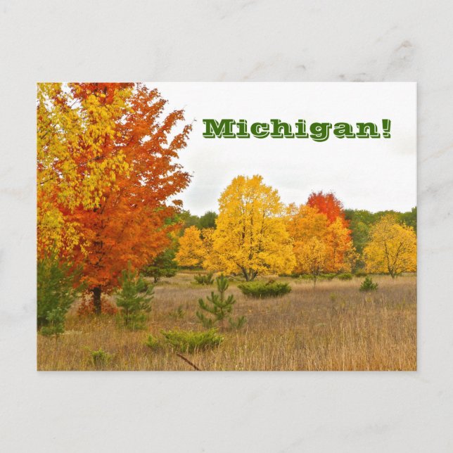 carte postale"MICHIGAN VIENT AVEC LA COULEUR VIBRA (Devant)