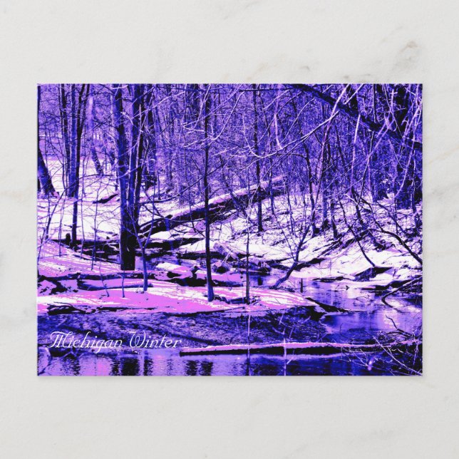 Carte Postale Michigan Winter (Devant)