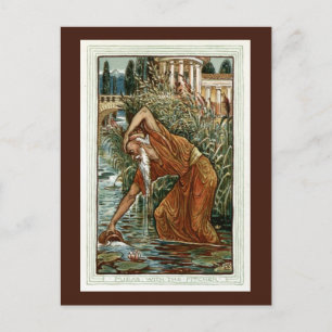 Carte Postale Midas avec le Pitcher