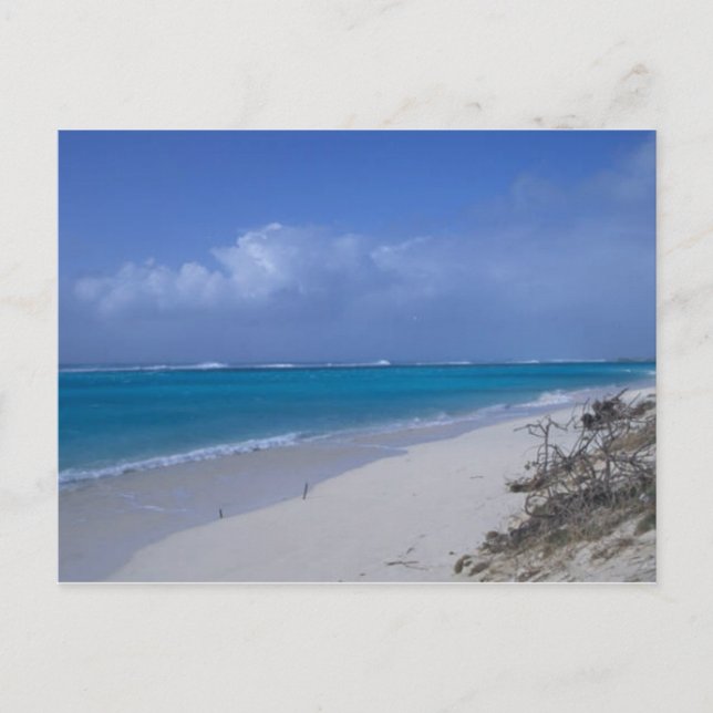 Carte Postale Midway Atoll Beach (Devant)