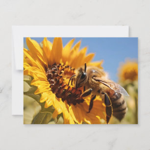 Carte Postale Miel abeille polinant tournesol