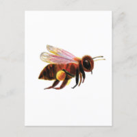 Miel Bee avec ses corbeilles de pollen