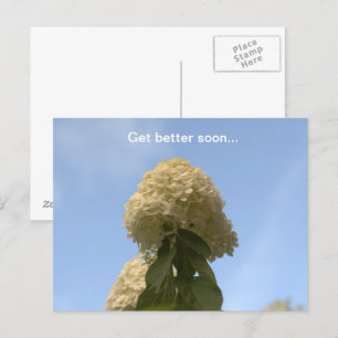 Carte Postale Mieux vaut Bientôt Lime Hydrangea