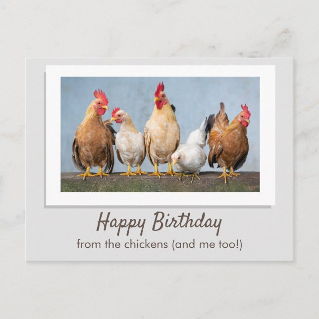 Carte Postale Mignon Gris Joyeux Anniversaire De La Part Des Pou (Devant)