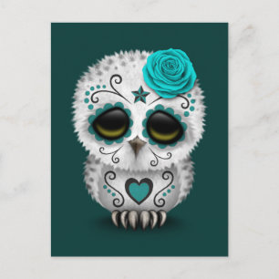 Carte Postale Mignon Hibou Crâne de Sucre Jour des Morts de Tein