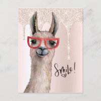Mignon Lama Féminin Paillettes Champagne Pensées P