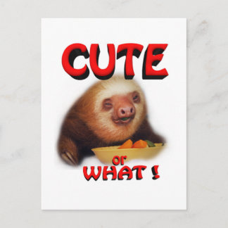 Carte Postale mignon ou quoi