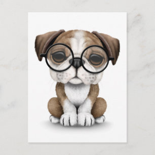 Carte Postale Mignonne Anglais Chien Chien Chien Portant des lun