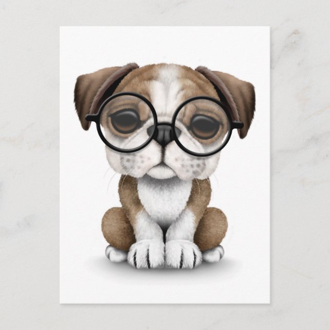 Carte Postale Mignonne Anglais Chien Chien Chien Portant des lun (Devant)