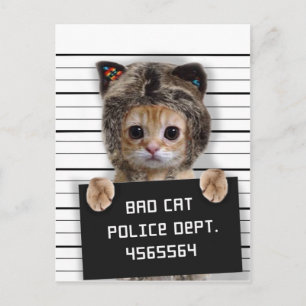 Carte Postale Mignonne chat mauvais garçon