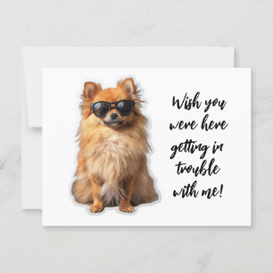 Carte Postale Mignonne Chien Poméranien Souhaite Que Vous Étiez 