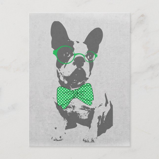 Carte Postale Mignonne drôle animal vintage tendance French bull (Devant)