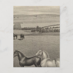 Carte Postale Mill Brae Ranch, Kansas