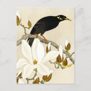 Carte Postale Mina On Magnolia Branch par Koson, Common Hill Min
