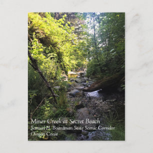 Carte Postale Miner Creek Samuel H. Boardman