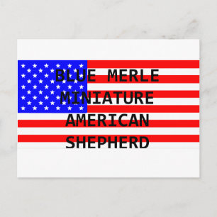 Carte Postale mini aussie nom sur flag blue merle