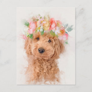 Carte Postale Mini Goldendoodle Portrait de la Couronne de la fl