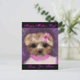 CARTE POSTALE MINI YORKIE POO