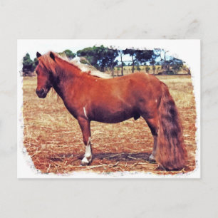 Carte Postale Miniature